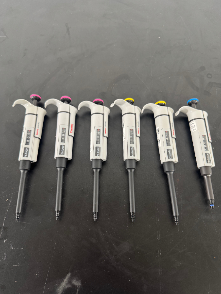 Image of Thermo F1-ClipTip Single Channel Pipettes - Quantity 6